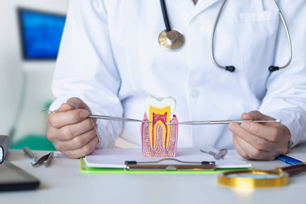 Best Walk-In Emergency Dental Services in Loudonville, OH